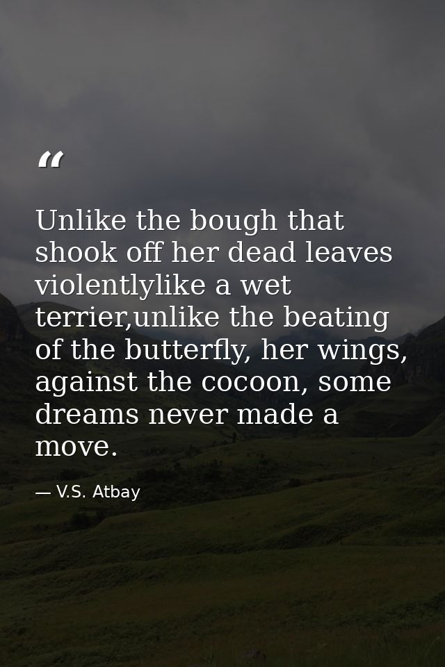 Unlike the bough that shook off her dead leaves violentlylike a wet terrier,unlike the beating of the butterfly, her win — V.S. Atbay