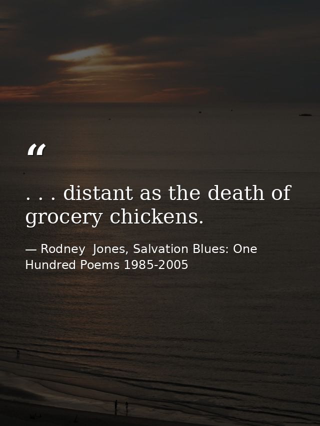 . . . distant as the death of grocery chickens. — Rodney  Jones, Salvation Blues: One Hundred Poems 1985-2005