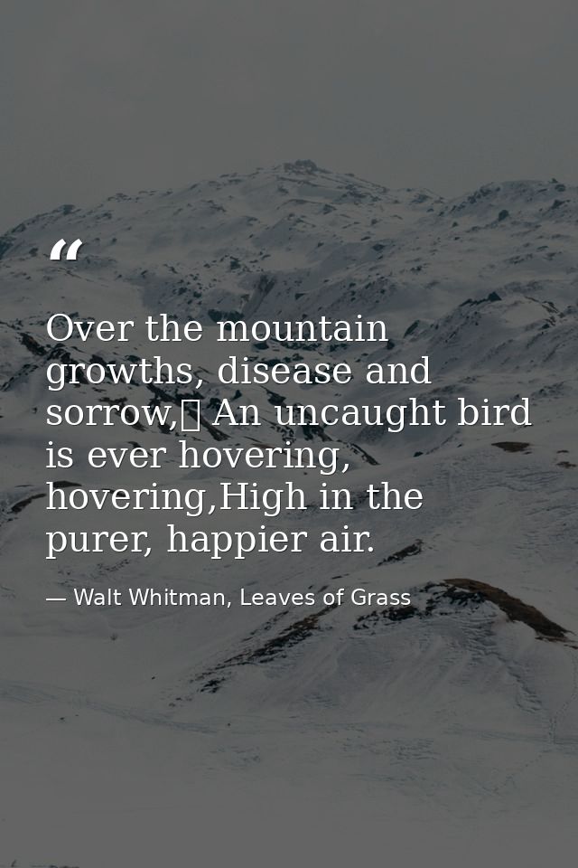 Over the mountain growths, disease and sorrow,	 An uncaught bird is ever hovering, hovering,High in the purer, happier a — Walt Whitman, Leaves of Grass