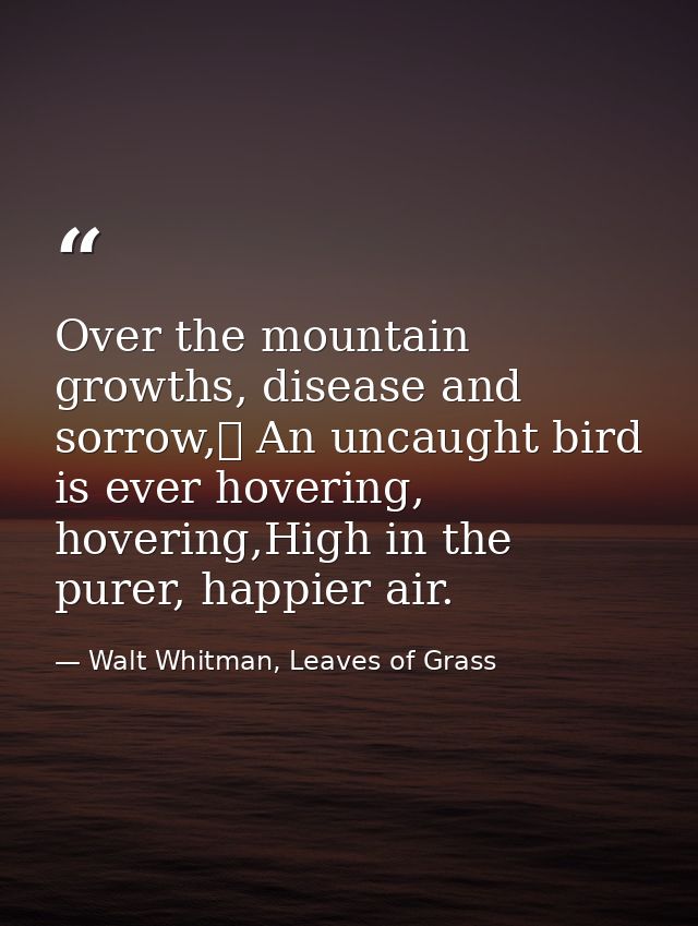 Over the mountain growths, disease and sorrow,	 An uncaught bird is ever hovering, hovering,High in the purer, happier a — Walt Whitman, Leaves of Grass