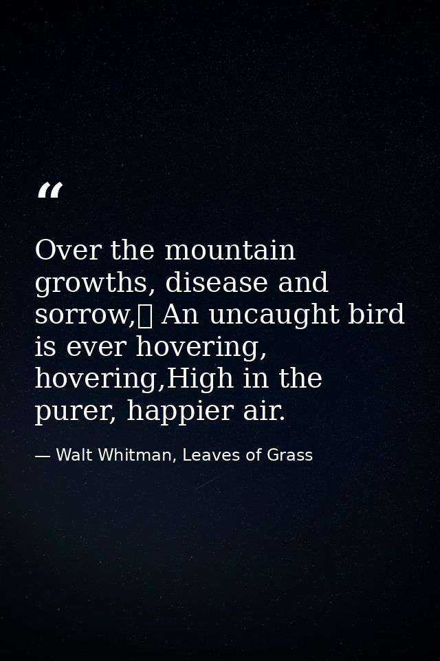 Over the mountain growths, disease and sorrow,	 An uncaught bird is ever hovering, hovering,High in the purer, happier a — Walt Whitman, Leaves of Grass