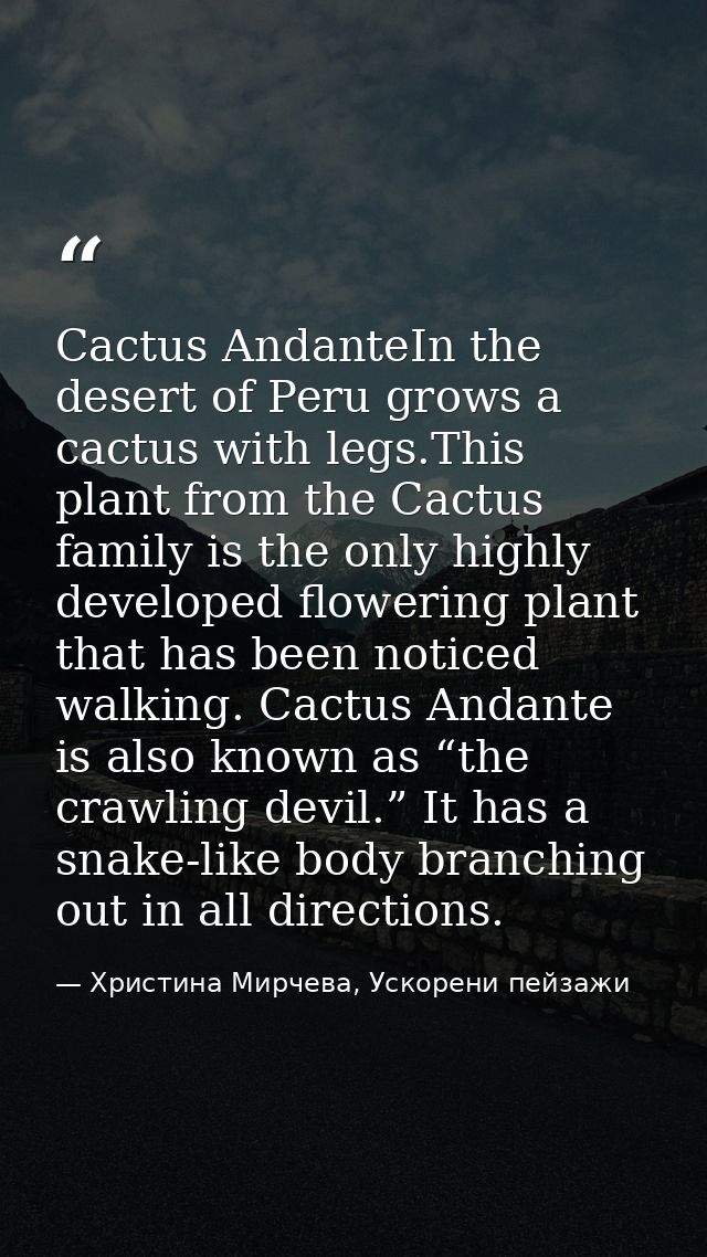 Cactus AndanteIn the desert of Peru grows a cactus with legs.This plant from the Cactus family is the only highly develo — Христина Мирчева, Ускорени пейзажи