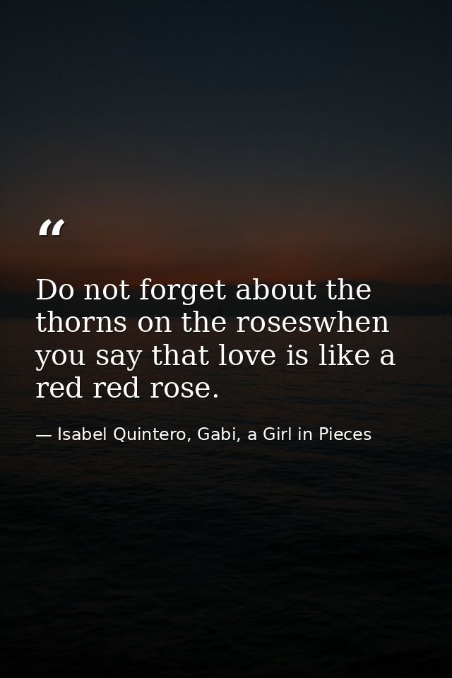 Do not forget about the thorns on the roseswhen you say that love is like a red red rose. — Isabel Quintero, Gabi, a Girl in Pieces