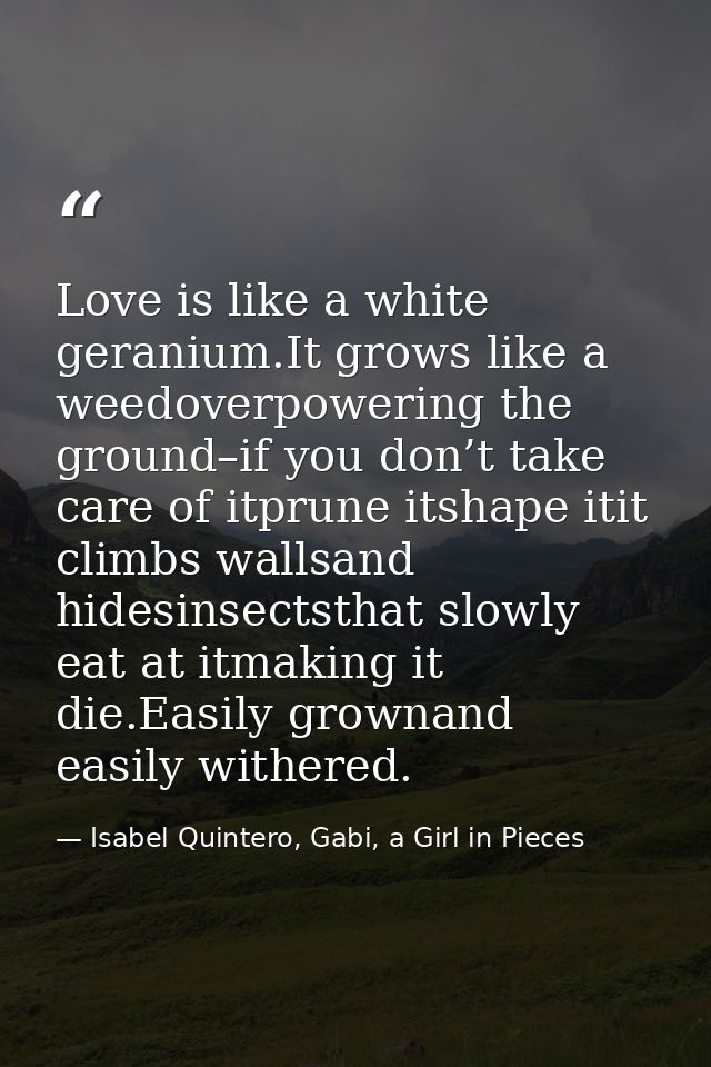 Love is like a white geranium.It grows like a weedoverpowering the ground–if you don’t take care of itprune itshape itit — Isabel Quintero, Gabi, a Girl in Pieces