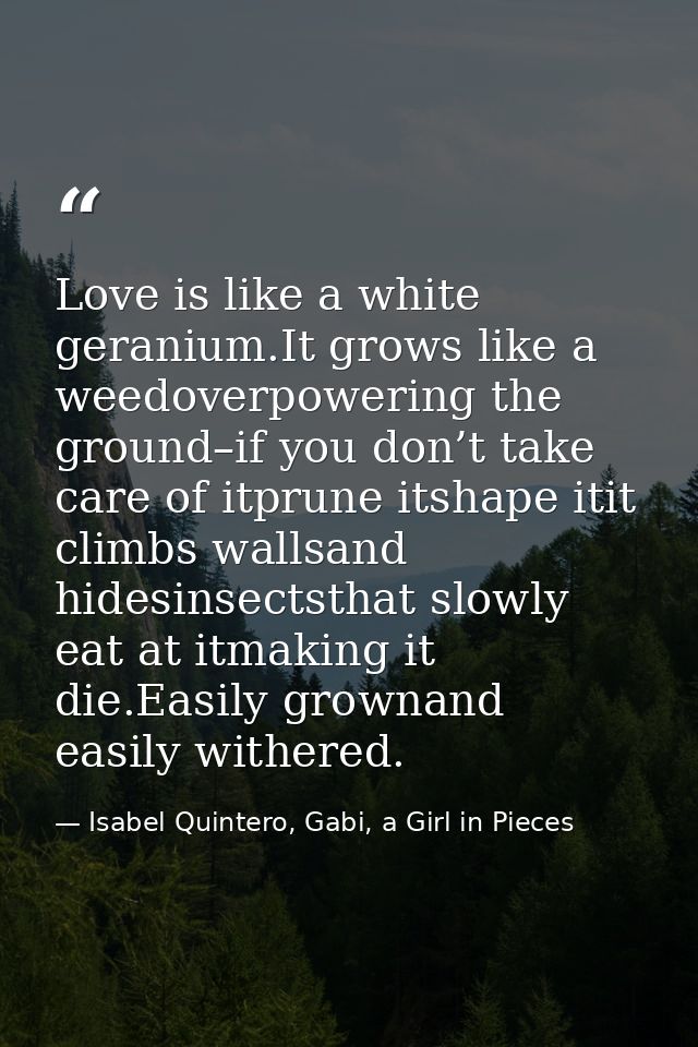 Love is like a white geranium.It grows like a weedoverpowering the ground–if you don’t take care of itprune itshape itit — Isabel Quintero, Gabi, a Girl in Pieces