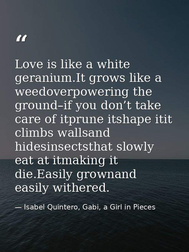 Love is like a white geranium.It grows like a weedoverpowering the ground–if you don’t take care of itprune itshape itit — Isabel Quintero, Gabi, a Girl in Pieces