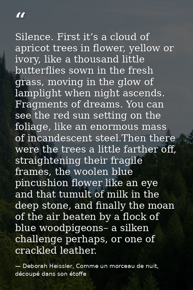 Silence. First it’s a cloud of apricot trees in flower, yellow or ivory, like a thousand little butterflies sown in the  — Deborah Heissler, Comme un morceau de nuit, découpé dans son étoffe