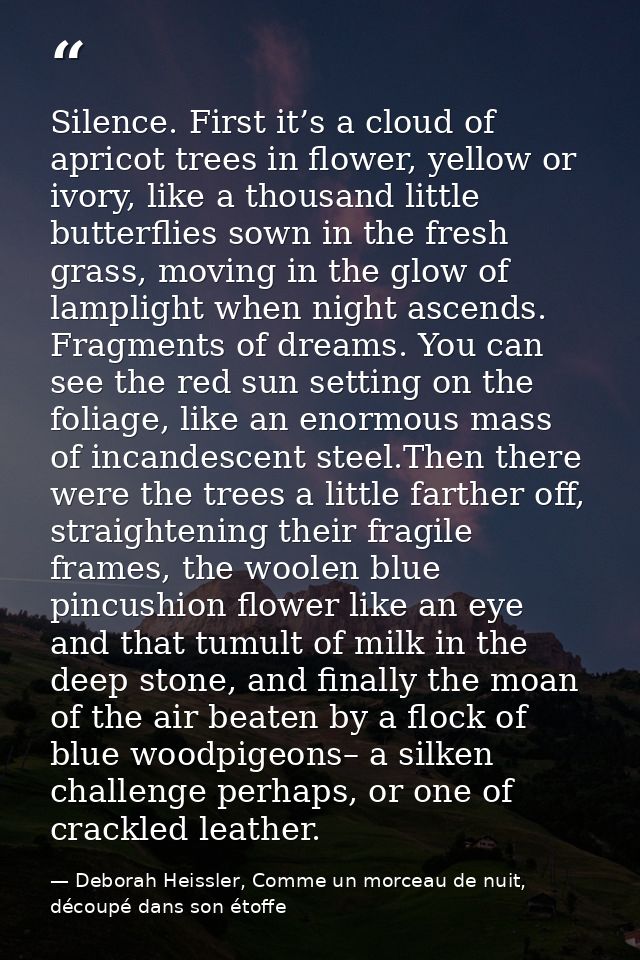Silence. First it’s a cloud of apricot trees in flower, yellow or ivory, like a thousand little butterflies sown in the  — Deborah Heissler, Comme un morceau de nuit, découpé dans son étoffe