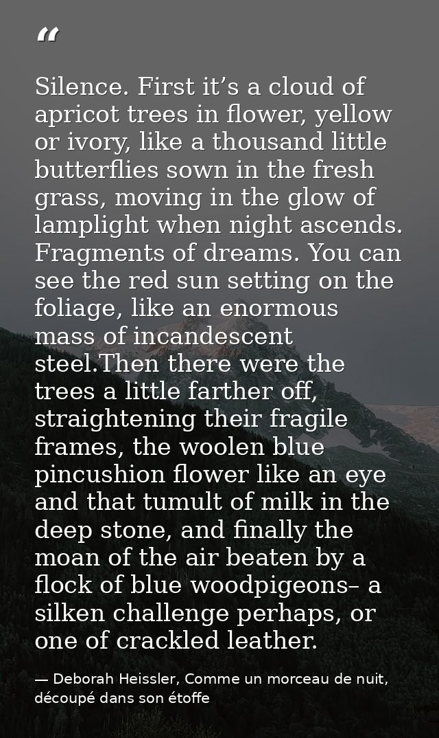 Silence. First it’s a cloud of apricot trees in flower, yellow or ivory, like a thousand little butterflies sown in the  — Deborah Heissler, Comme un morceau de nuit, découpé dans son étoffe