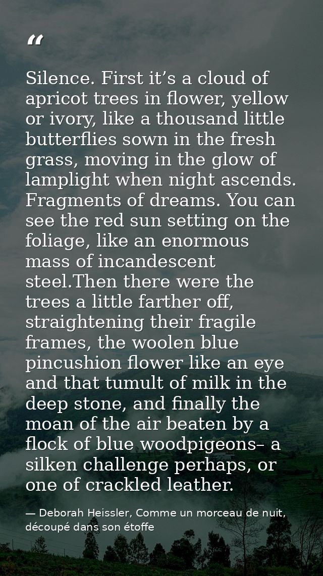Silence. First it’s a cloud of apricot trees in flower, yellow or ivory, like a thousand little butterflies sown in the  — Deborah Heissler, Comme un morceau de nuit, découpé dans son étoffe