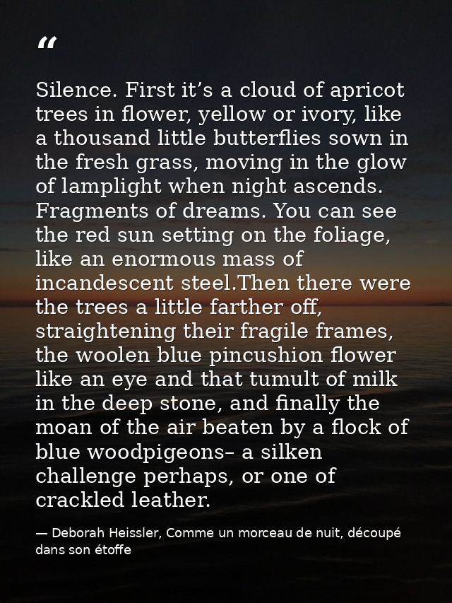 Silence. First it’s a cloud of apricot trees in flower, yellow or ivory, like a thousand little butterflies sown in the  — Deborah Heissler, Comme un morceau de nuit, découpé dans son étoffe
