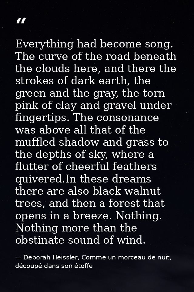 Everything had become song. The curve of the road beneath the clouds here, and there the strokes of dark earth, the gree — Deborah Heissler, Comme un morceau de nuit, découpé dans son étoffe