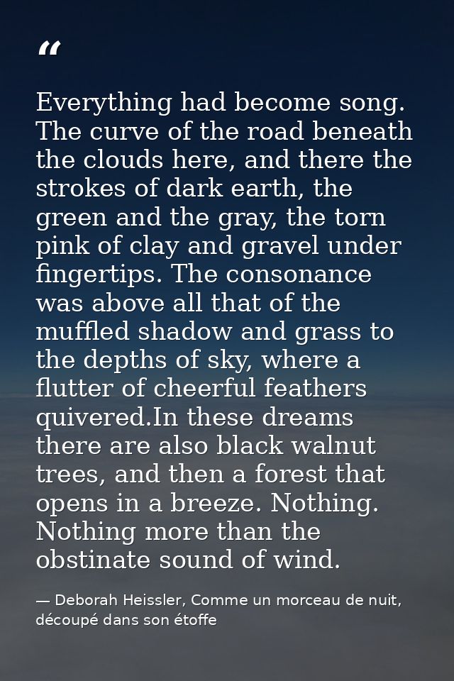 Everything had become song. The curve of the road beneath the clouds here, and there the strokes of dark earth, the gree — Deborah Heissler, Comme un morceau de nuit, découpé dans son étoffe
