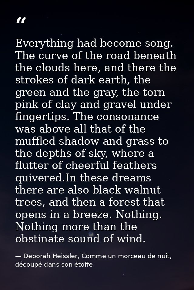 Everything had become song. The curve of the road beneath the clouds here, and there the strokes of dark earth, the gree — Deborah Heissler, Comme un morceau de nuit, découpé dans son étoffe
