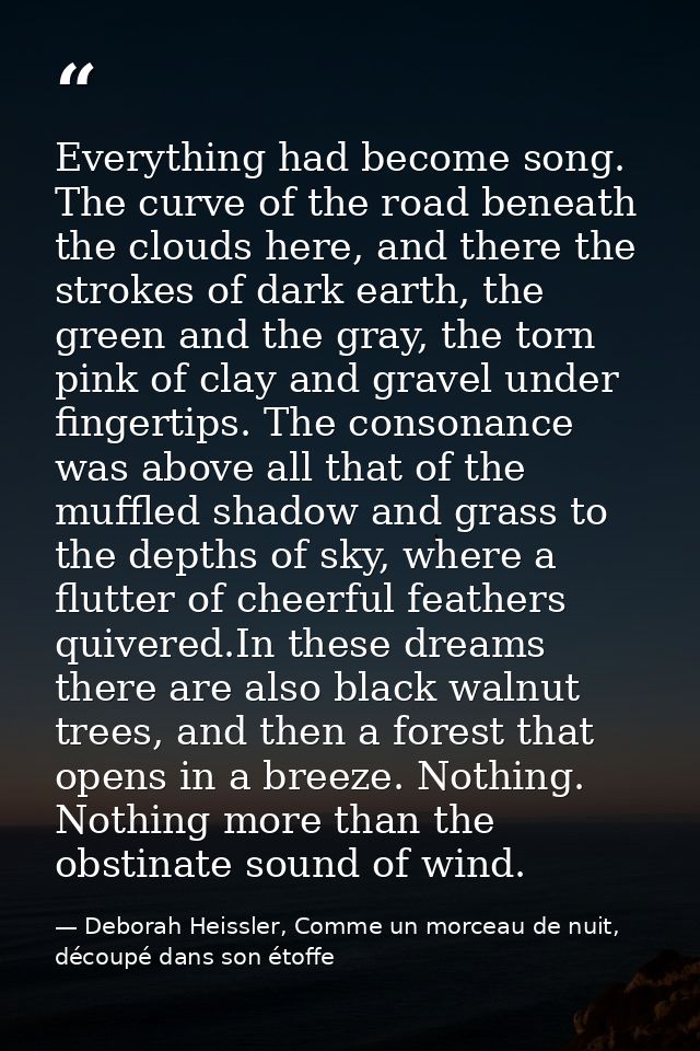 Everything had become song. The curve of the road beneath the clouds here, and there the strokes of dark earth, the gree — Deborah Heissler, Comme un morceau de nuit, découpé dans son étoffe