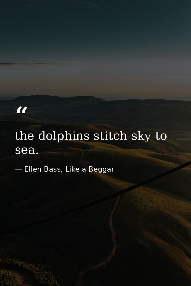 the dolphins stitch sky to sea. — Ellen Bass, Like a Beggar