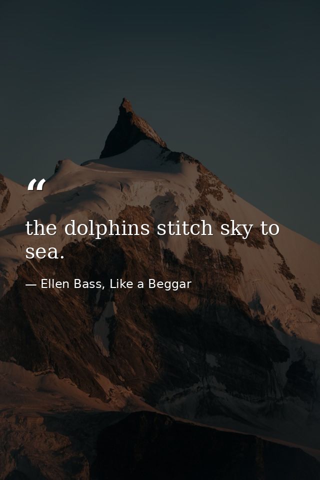 the dolphins stitch sky to sea. — Ellen Bass, Like a Beggar