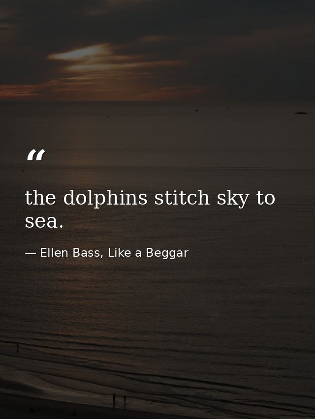 the dolphins stitch sky to sea. — Ellen Bass, Like a Beggar