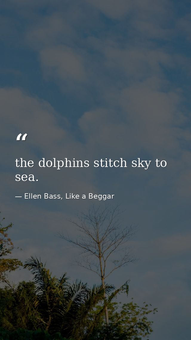 the dolphins stitch sky to sea. — Ellen Bass, Like a Beggar
