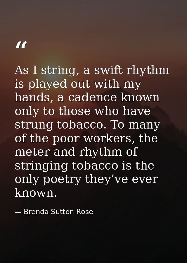 As I string, a swift rhythm is played out with my hands, a cadence known only to those who have strung tobacco. To many  — Brenda Sutton Rose