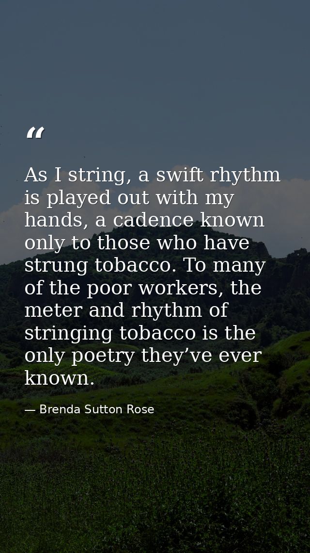 As I string, a swift rhythm is played out with my hands, a cadence known only to those who have strung tobacco. To many  — Brenda Sutton Rose
