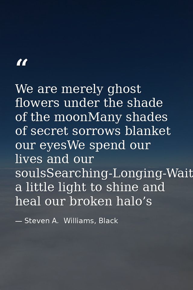 We are merely ghost flowers under the shade of the moonMany shades of secret sorrows blanket our eyesWe spend our lives  — Steven A.  Williams, Black