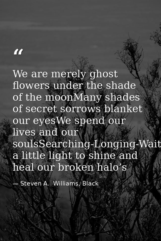We are merely ghost flowers under the shade of the moonMany shades of secret sorrows blanket our eyesWe spend our lives  — Steven A.  Williams, Black