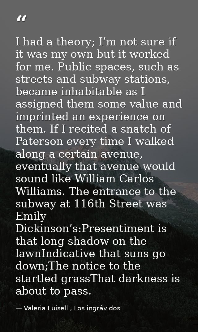 I had a theory; I’m not sure if it was my own but it worked for me. Public spaces, such as streets and subway stations,  — Valeria Luiselli, Los ingrávidos