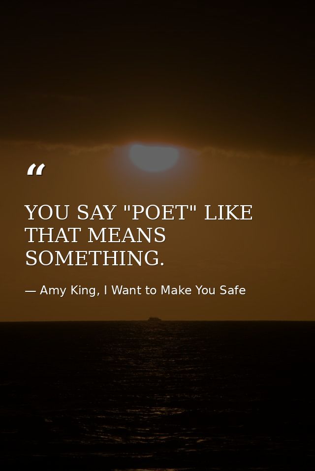 YOU SAY "POET" LIKE THAT MEANS SOMETHING. — Amy King, I Want to Make You Safe