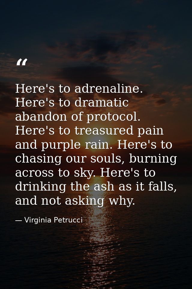Here's to adrenaline. Here's to dramatic abandon of protocol. Here's to treasured pain and purple rain. Here's to chasin — Virginia Petrucci