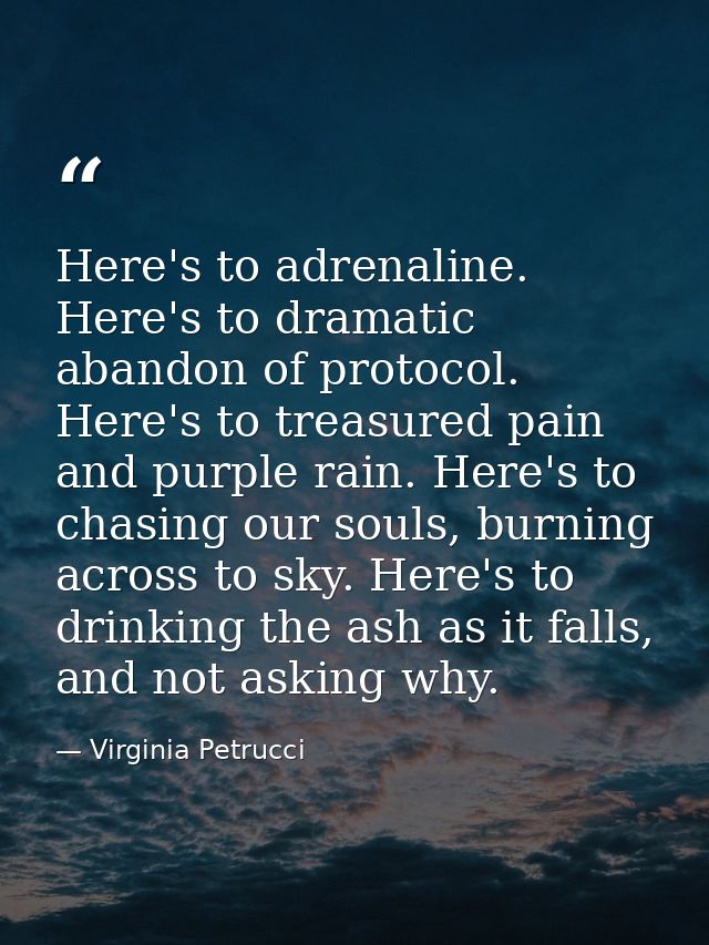Here's to adrenaline. Here's to dramatic abandon of protocol. Here's to treasured pain and purple rain. Here's to chasin — Virginia Petrucci