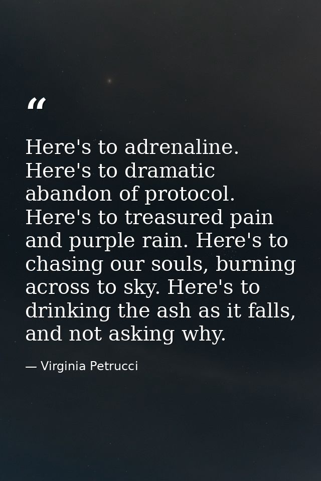 Here's to adrenaline. Here's to dramatic abandon of protocol. Here's to treasured pain and purple rain. Here's to chasin — Virginia Petrucci