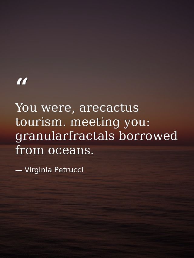 You were, arecactus tourism. meeting you: granularfractals borrowed from oceans. — Virginia Petrucci