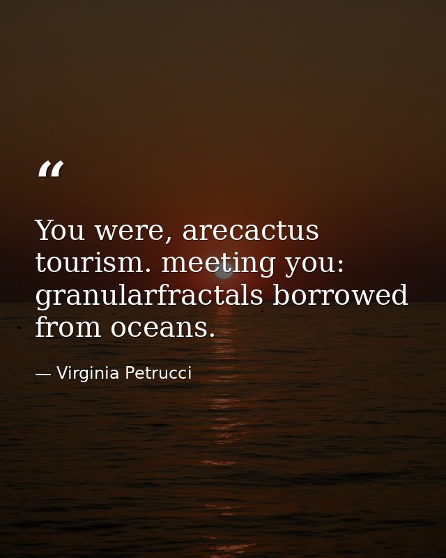 You were, arecactus tourism. meeting you: granularfractals borrowed from oceans. — Virginia Petrucci