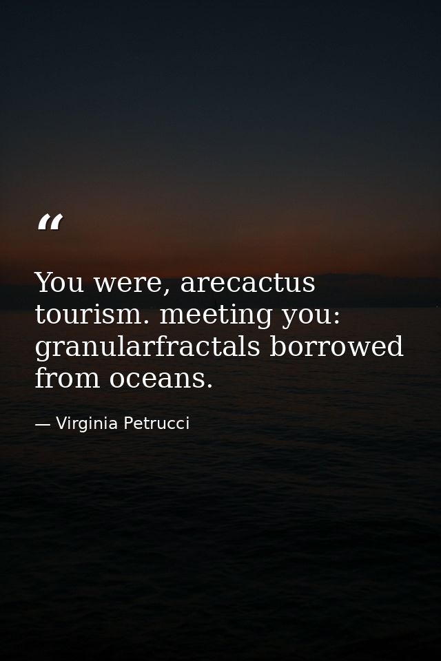 You were, arecactus tourism. meeting you: granularfractals borrowed from oceans. — Virginia Petrucci