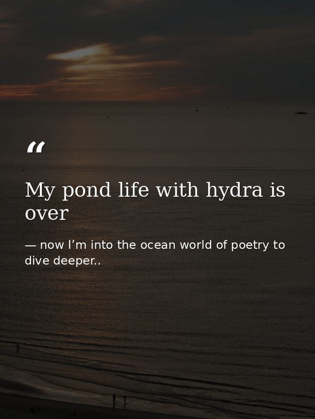 My pond life with hydra is over — now I’m into the ocean world of poetry to dive deeper..