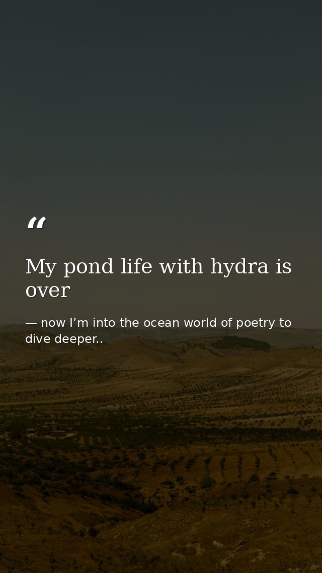 My pond life with hydra is over — now I’m into the ocean world of poetry to dive deeper..