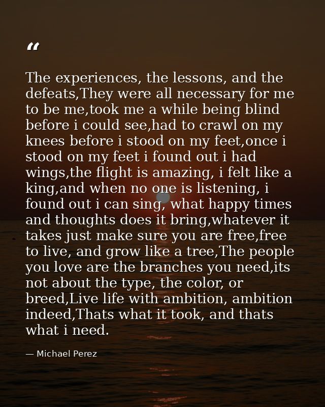 The experiences, the lessons, and the defeats,They were all necessary for me to be me,took me a while being blind before — Michael Perez