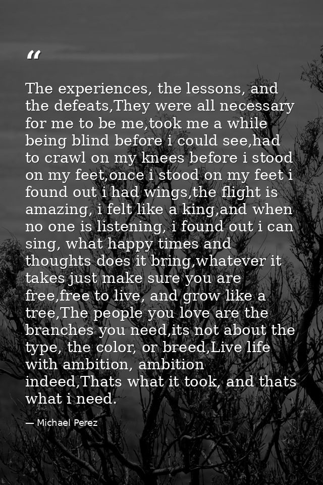 The experiences, the lessons, and the defeats,They were all necessary for me to be me,took me a while being blind before — Michael Perez