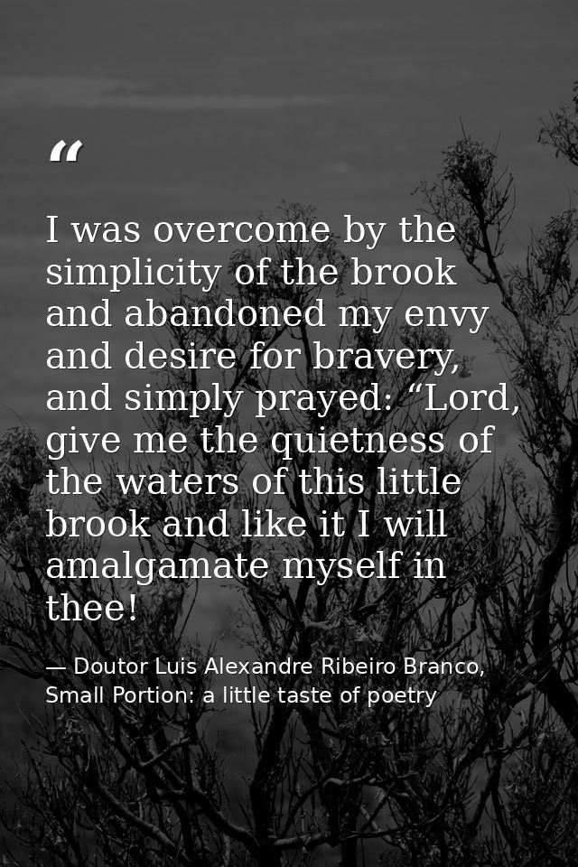 I was overcome by the simplicity of the brook and abandoned my envy and desire for bravery, and simply prayed: “Lord, gi — Doutor Luis Alexandre Ribeiro Branco, Small Portion: a little taste of poetry