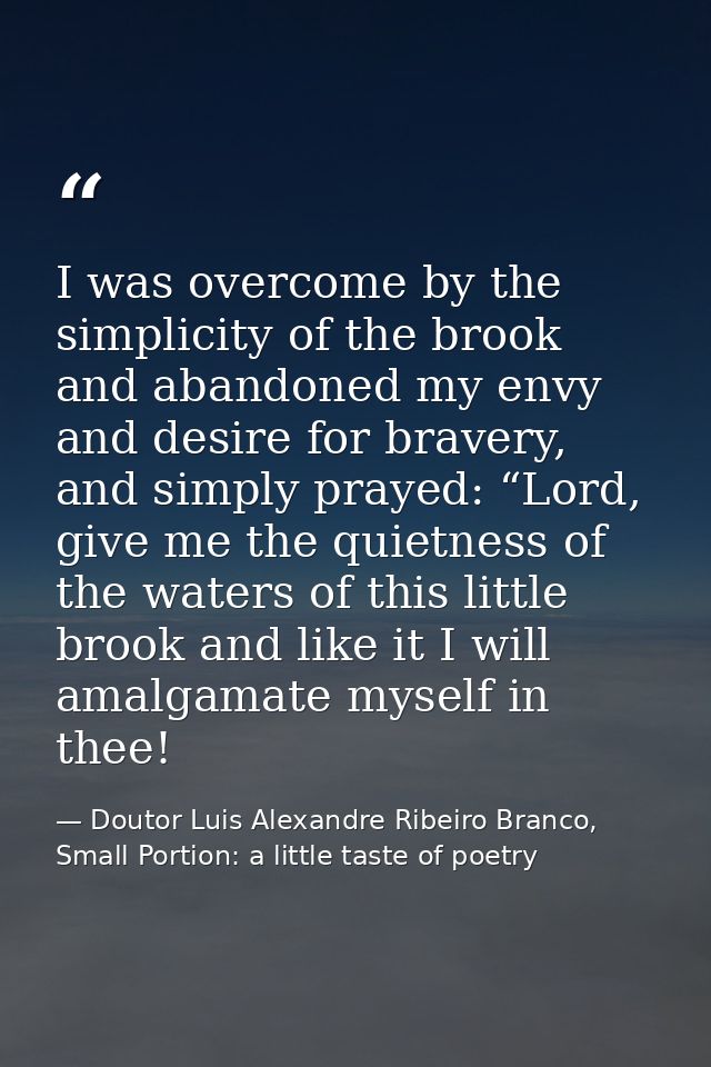 I was overcome by the simplicity of the brook and abandoned my envy and desire for bravery, and simply prayed: “Lord, gi — Doutor Luis Alexandre Ribeiro Branco, Small Portion: a little taste of poetry