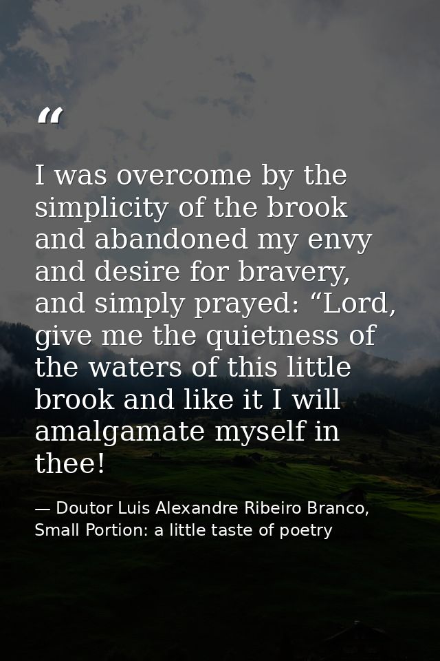 I was overcome by the simplicity of the brook and abandoned my envy and desire for bravery, and simply prayed: “Lord, gi — Doutor Luis Alexandre Ribeiro Branco, Small Portion: a little taste of poetry