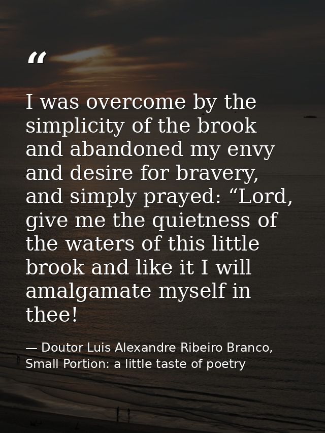 I was overcome by the simplicity of the brook and abandoned my envy and desire for bravery, and simply prayed: “Lord, gi — Doutor Luis Alexandre Ribeiro Branco, Small Portion: a little taste of poetry