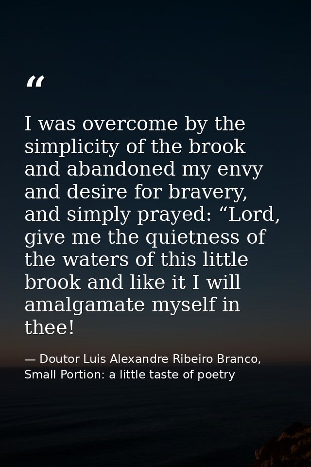 I was overcome by the simplicity of the brook and abandoned my envy and desire for bravery, and simply prayed: “Lord, gi — Doutor Luis Alexandre Ribeiro Branco, Small Portion: a little taste of poetry