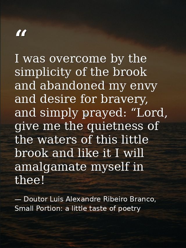 I was overcome by the simplicity of the brook and abandoned my envy and desire for bravery, and simply prayed: “Lord, gi — Doutor Luis Alexandre Ribeiro Branco, Small Portion: a little taste of poetry