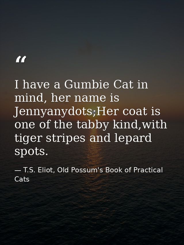 I have a Gumbie Cat in mind, her name is Jennyanydots;Her coat is one of the tabby kind,with tiger stripes and lepard sp — T.S. Eliot, Old Possum's Book of Practical Cats