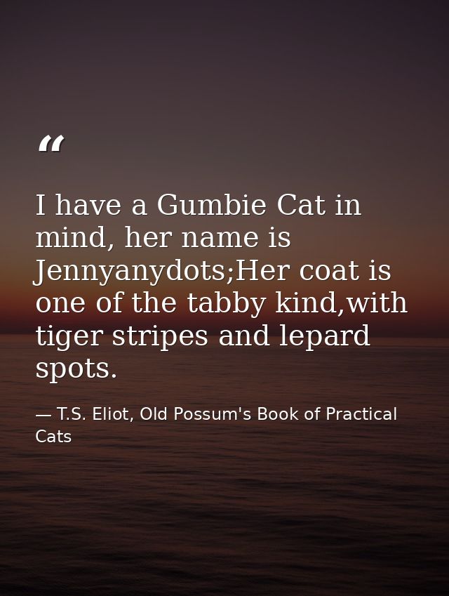 I have a Gumbie Cat in mind, her name is Jennyanydots;Her coat is one of the tabby kind,with tiger stripes and lepard sp — T.S. Eliot, Old Possum's Book of Practical Cats
