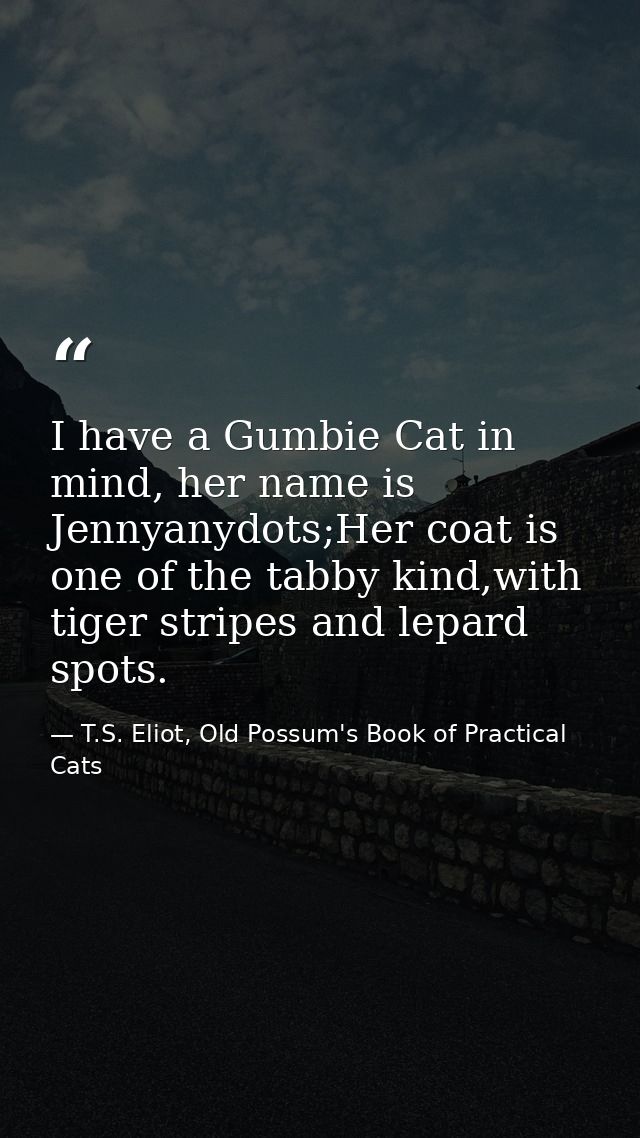 I have a Gumbie Cat in mind, her name is Jennyanydots;Her coat is one of the tabby kind,with tiger stripes and lepard sp — T.S. Eliot, Old Possum's Book of Practical Cats