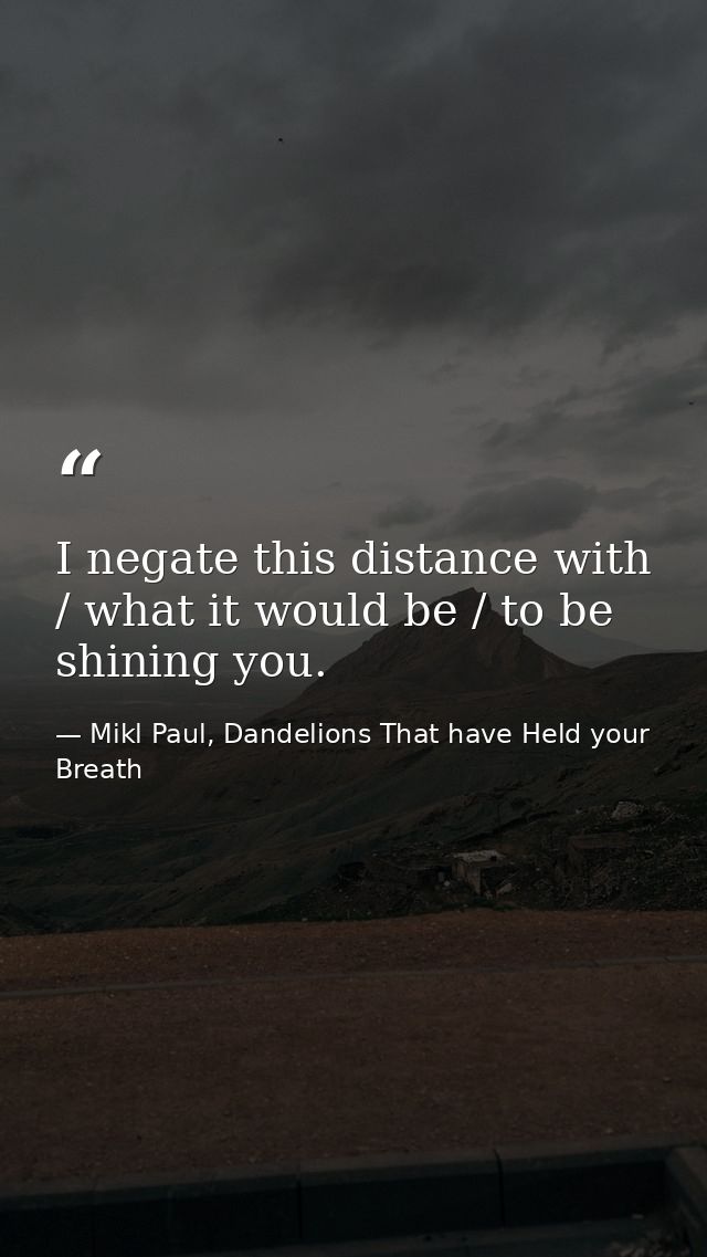 I negate this distance with / what it would be / to be shining you. — Mikl Paul, Dandelions That have Held your Breath