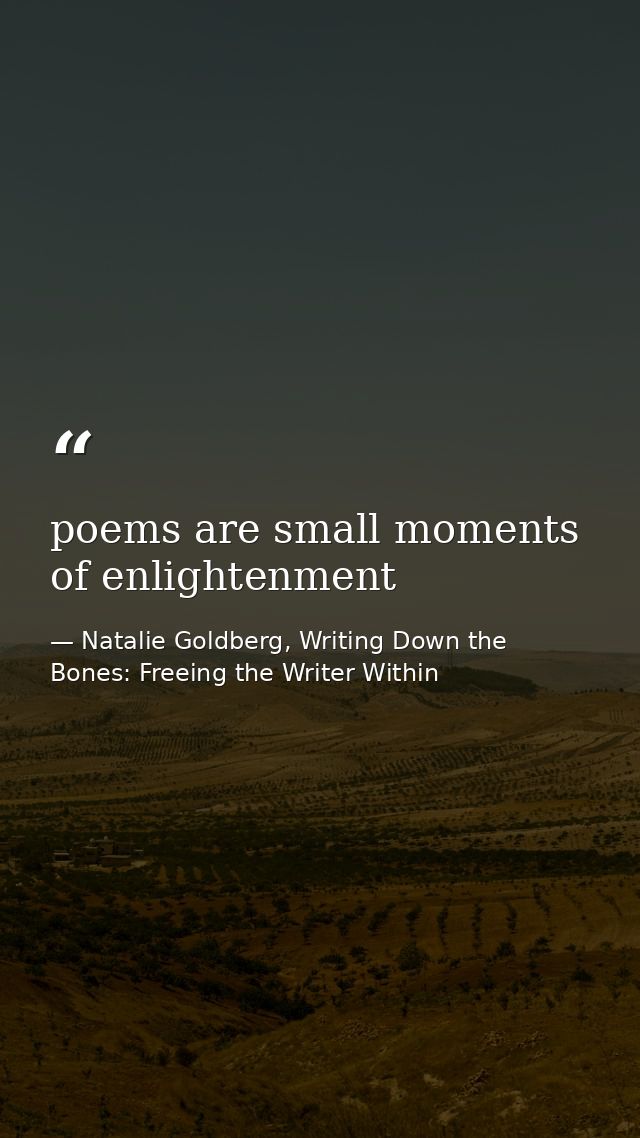 poems are small moments of enlightenment — Natalie Goldberg, Writing Down the Bones: Freeing the Writer Within